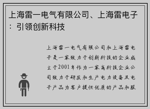 上海雷一电气有限公司、上海雷电子：引领创新科技